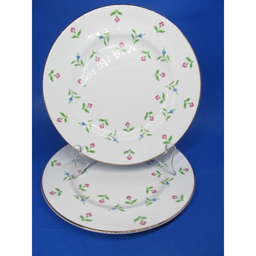 Royal Victoria Fine Bone China Pink Blue Flowers 8" Salad Plate  Bundle of 6
